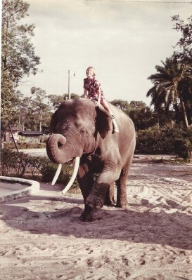 782e6-jasononelephant