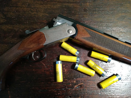 IMG_20190130_101344706