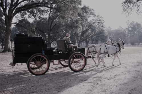 B&amp;W on the wagon-min