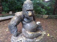 IMG_20190610_102414973