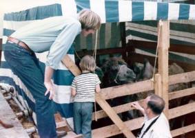 animal shipment 1974