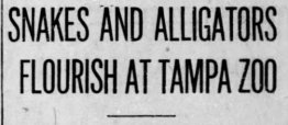 1914 headline
