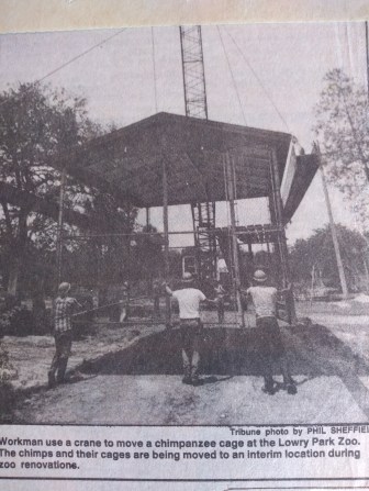 IMG_20190927_111413530