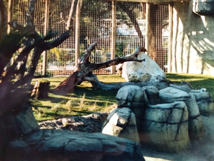 IMG_20190927_111156261