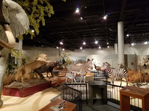 Sioux Falls, South Dakota—the zoo as a museum | J. D. Porter