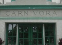 Carnivora 1