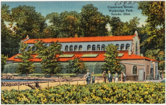 carnivora_house_walbridge_park_toledo_ohio_65933